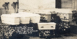 ballfamilycaskets.jpg