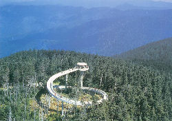 clingmansdome.jpg